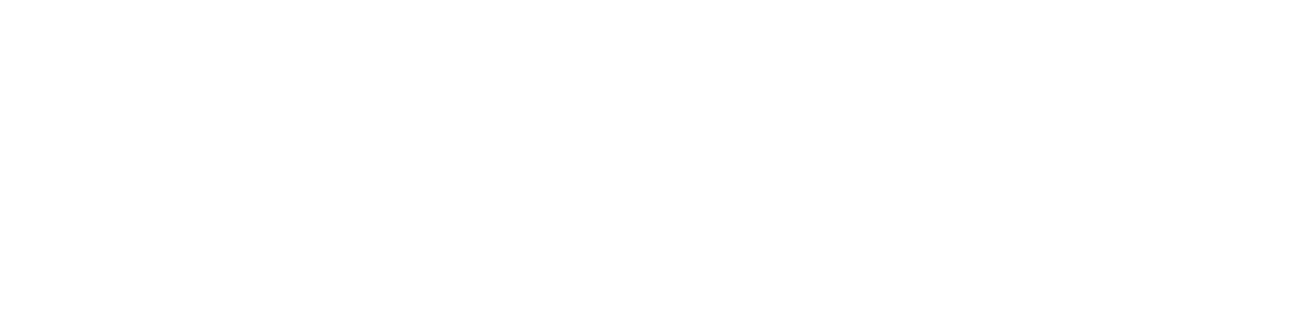 Logo 12